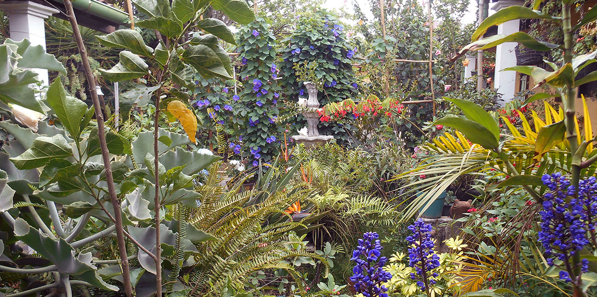jardin de celeste gardens