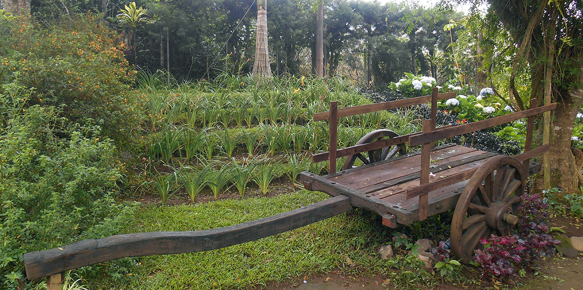 jardin de celeste grounds