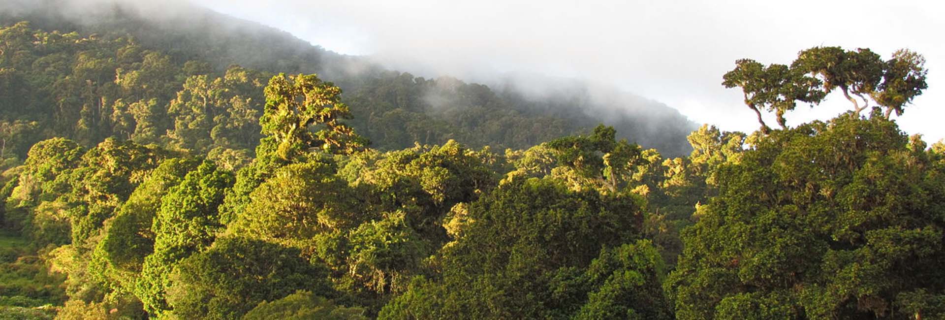 La Amistad Park in Panama