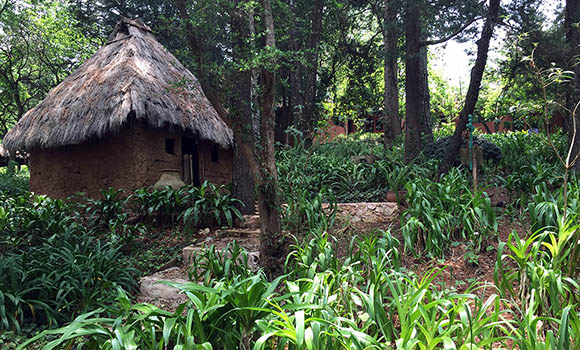 grounds at casa na bolom